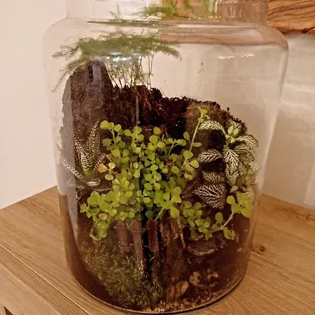 Sole E Luna - Jacuzzi E Relax Apartmán *