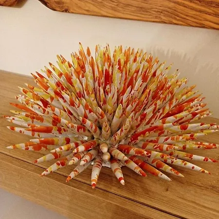 Sole E Luna - Jacuzzi E Relax Apartmán Neviano