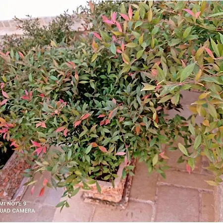 Sole E Luna - Jacuzzi E Relax *