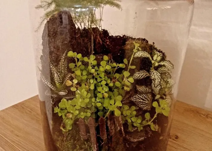 Sole E Luna - Jacuzzi E Relax Appartamento *