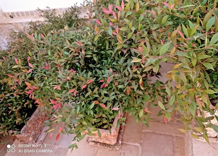 Sole E Luna - Jacuzzi E Relax *